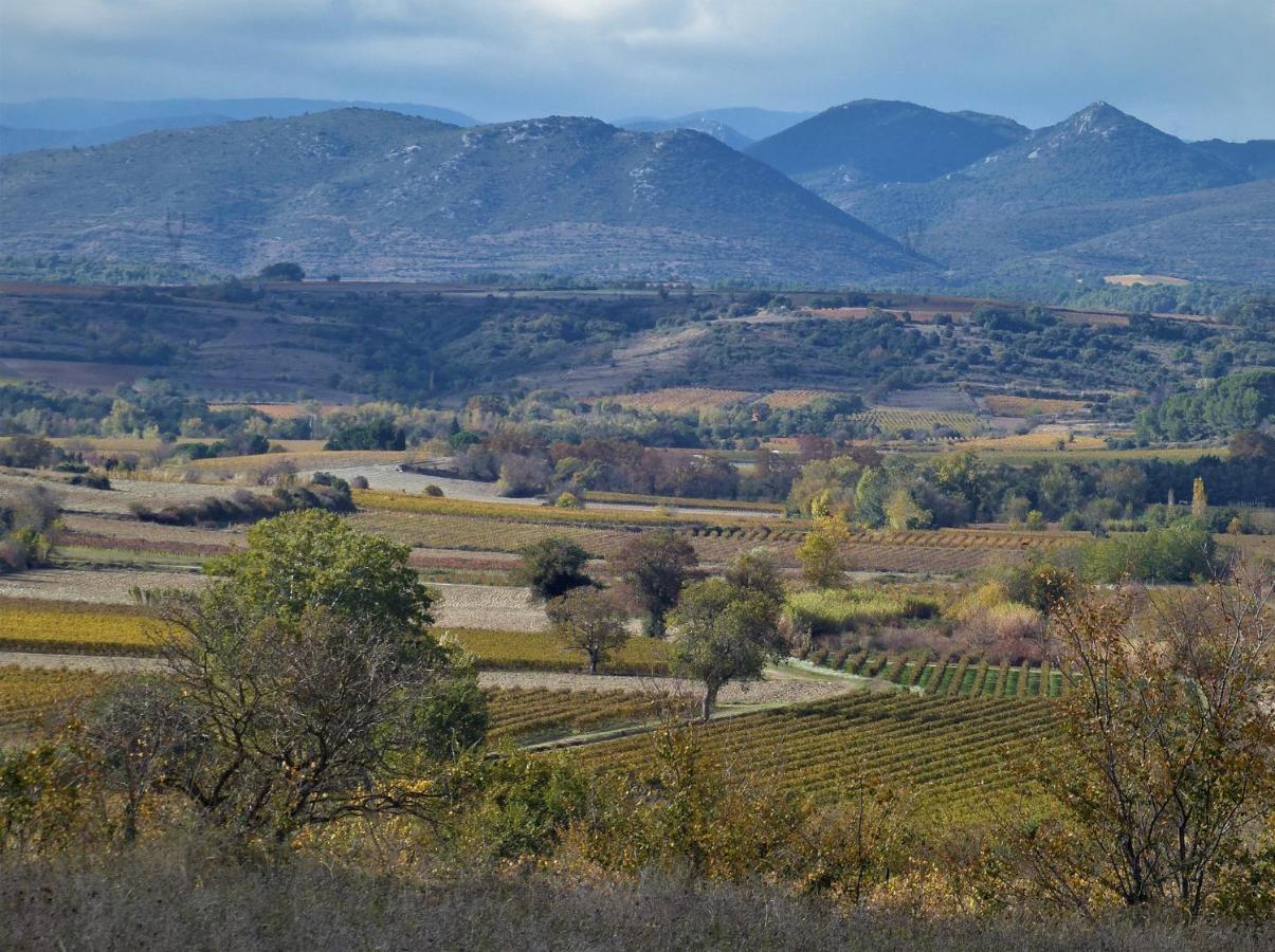Le Marronnier Bed and Breakfast Saint-Genies-de-Fontedit Εξωτερικό φωτογραφία